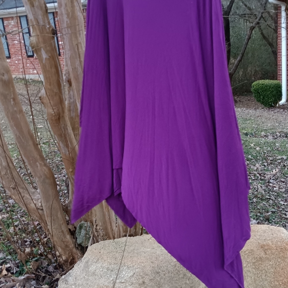 Go Style Angel Wingstop - Picture 2 of 4